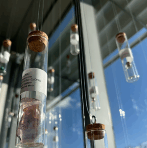 test tubes contain small objects as a material representation of the periodic table