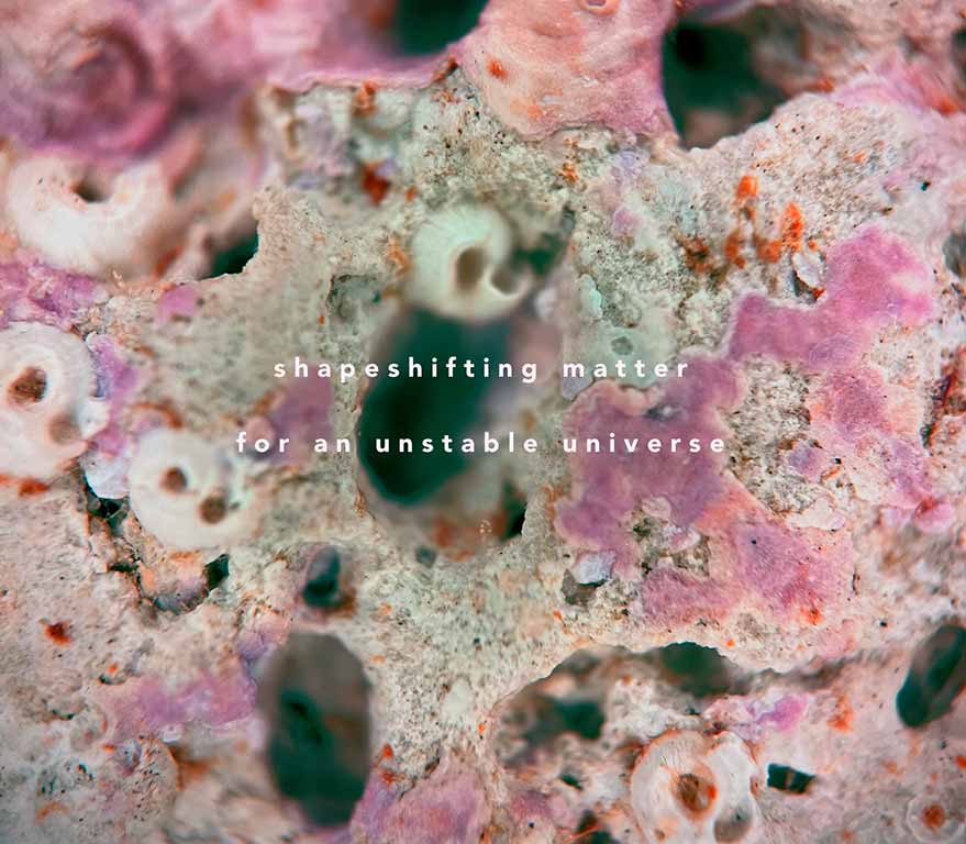 bacteria molds and and other microorganisms forming pink and green abstract patterns